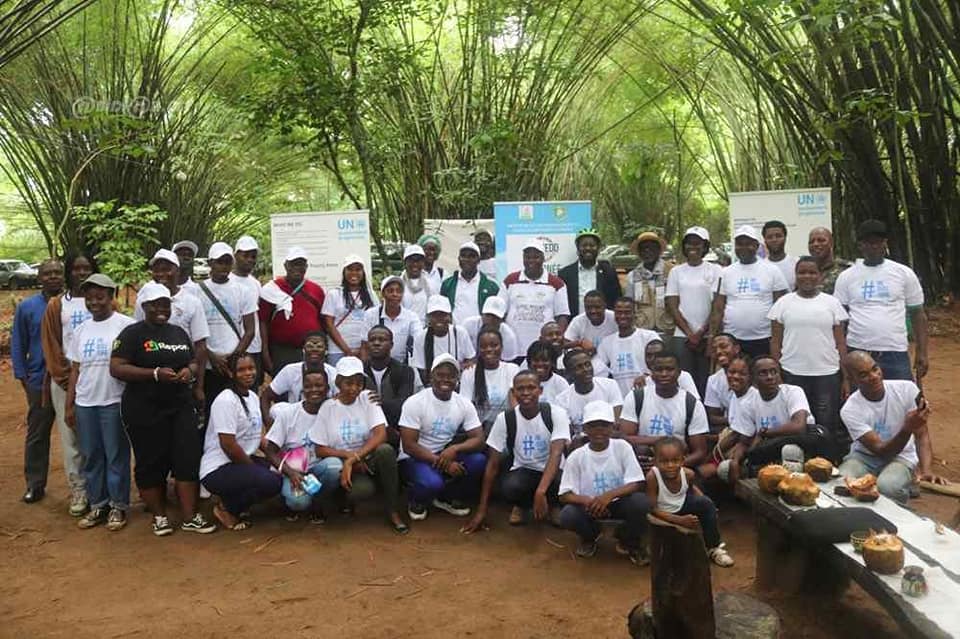 illustration