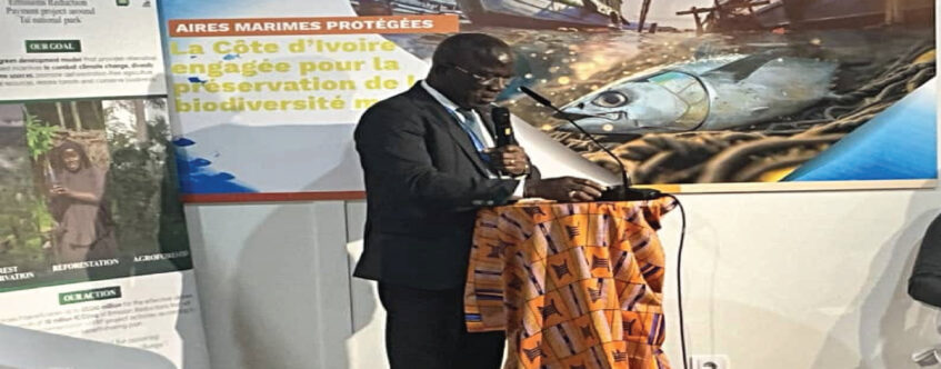 COP29/ MARCHE DU CARBONNE : LE MINISTRE ASSAHORE AFFICHE LE MODELE IVOIRIEN